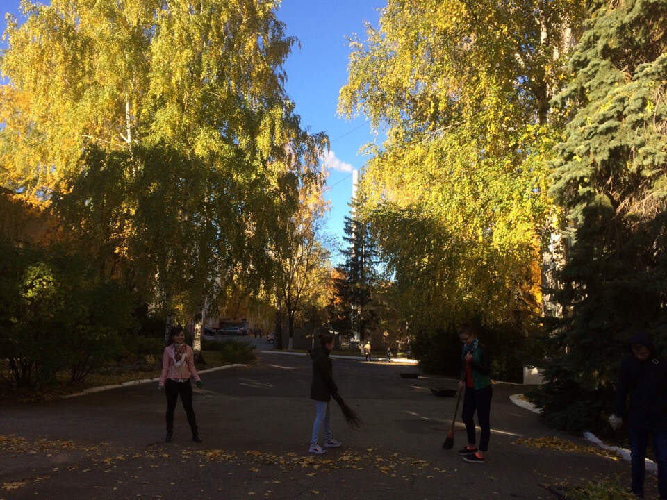 Санитарная пятница